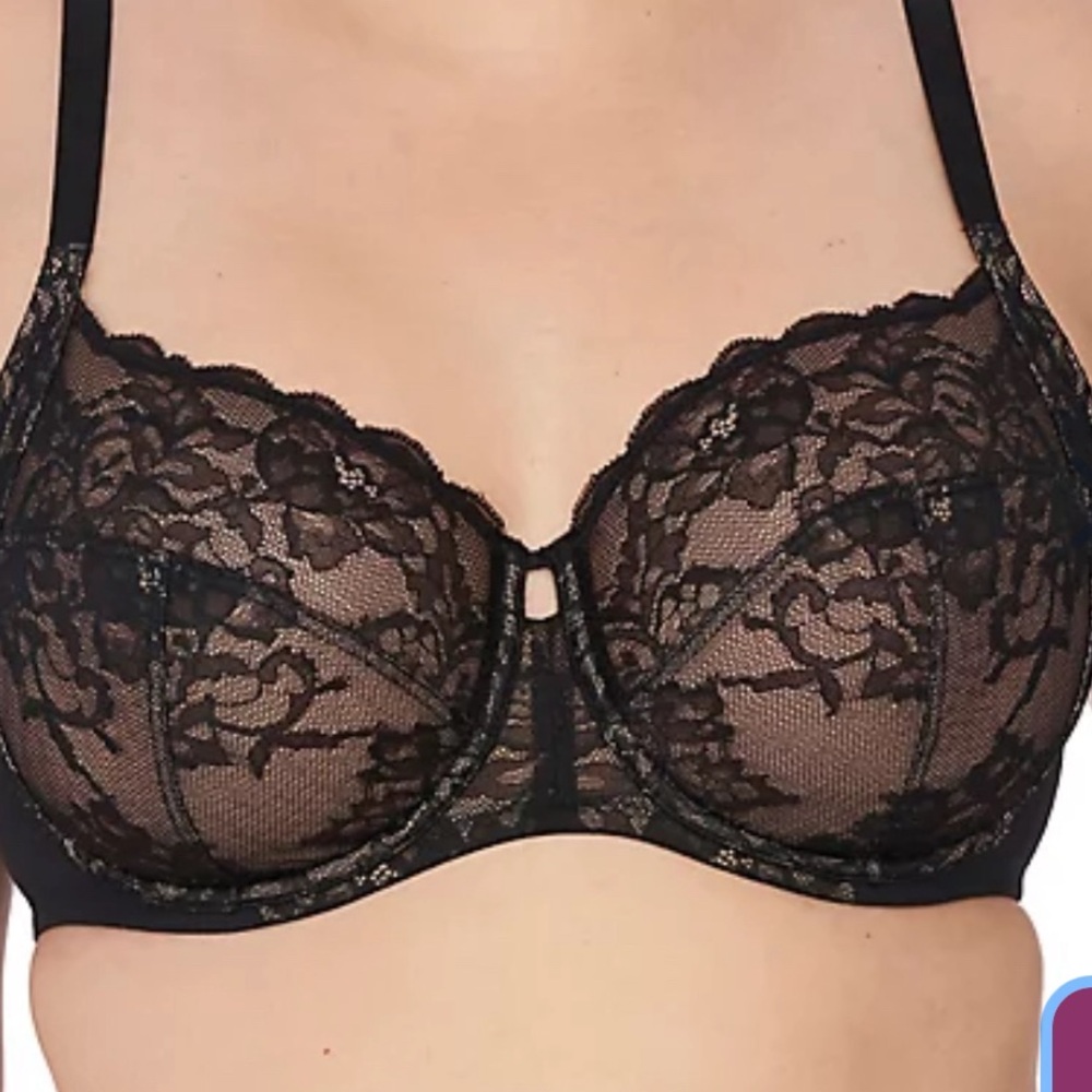 Natori Black Lace Bra